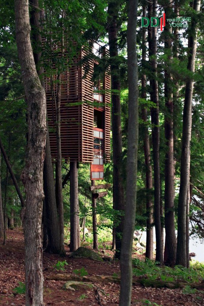 Ngôi nghà trên cây bằng gỗ nằm gần hồ Muskoka, Ontario chắc chắn với hệ thống dây thép mềm có thể chống chọi rung chuyển do gió mạnh.
