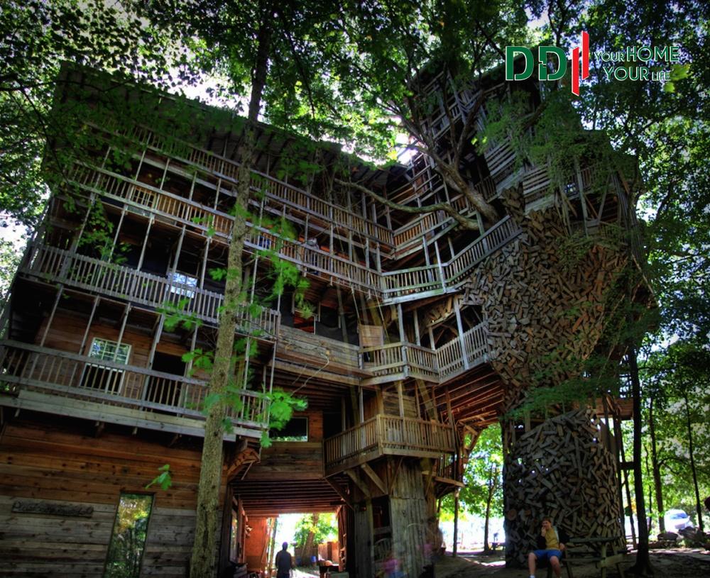 Căn nhà cây khổng lồ tại Tennessee, Mỹ được làm 90% bằng gỗ, có tuổi đời hơn 50 năm.